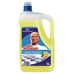 Fregasuelos Mister proper